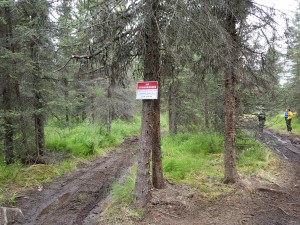 A no trespassing sign on CIRI land along the Kenai River. Photo by Ben Mohr.