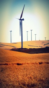Turbines tower over Palouse wheat fields.