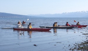 The qayaqs landign during a prior Tamamta Katurlluta:  A Gathering of Native Tradition event in Homer, Alaska.