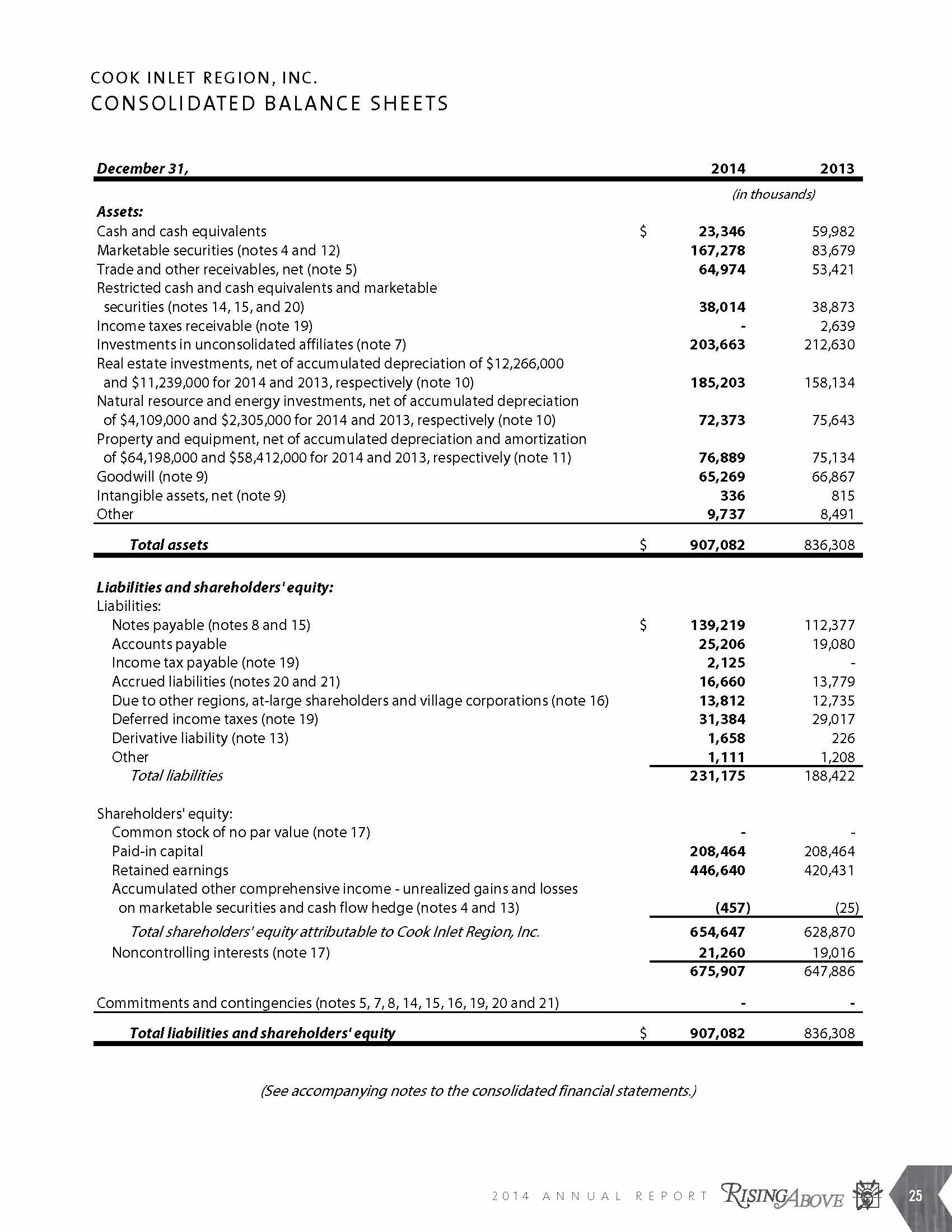 Annual Report - Consolidated Balance Sheets