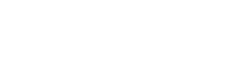 values_excellence